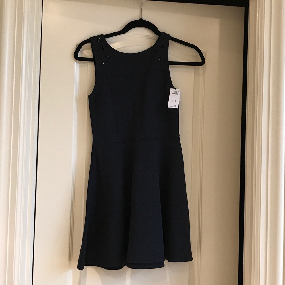 abercrombie & fitch skater dress